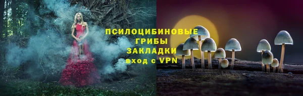 PSILOCYBIN Белоозёрский