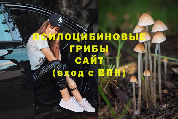 синтетический гашиш Беломорск