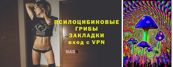 ПСИЛОЦИБИНОВЫЕ ГРИБЫ Балабаново